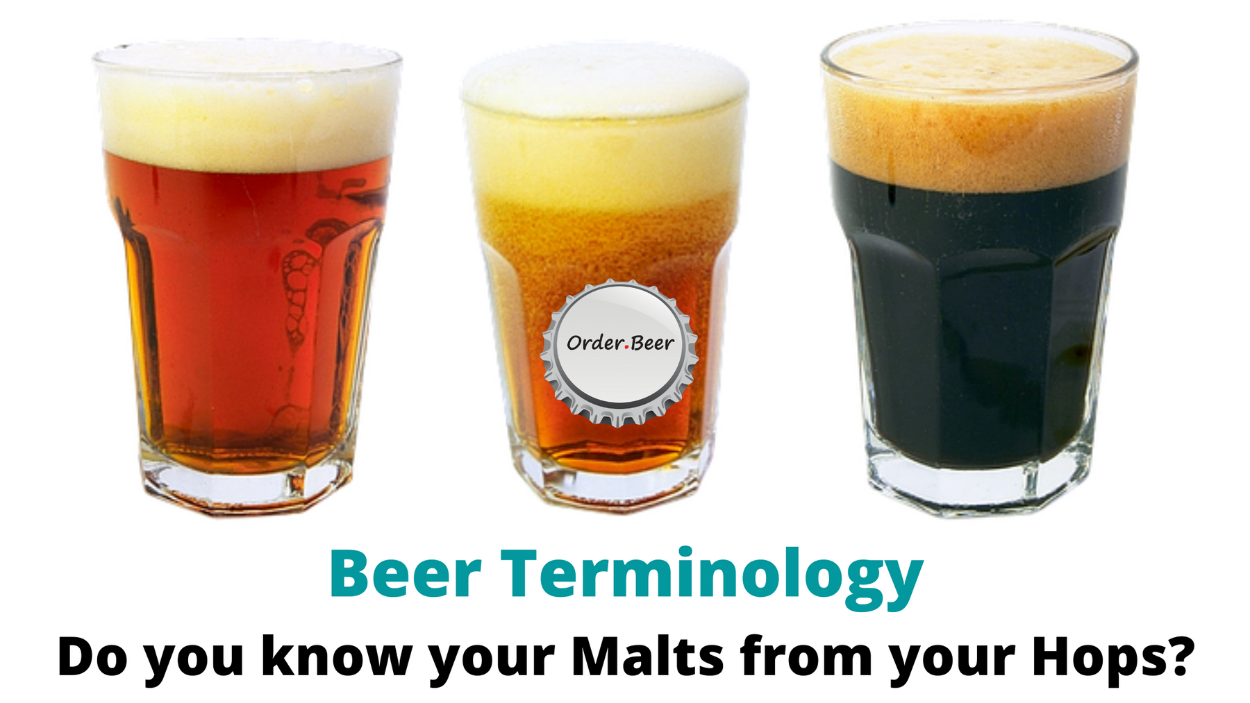 Beer Terminology: Do you know your Malts from your Hops?