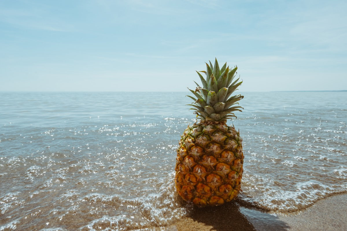 Summertime is finally here!